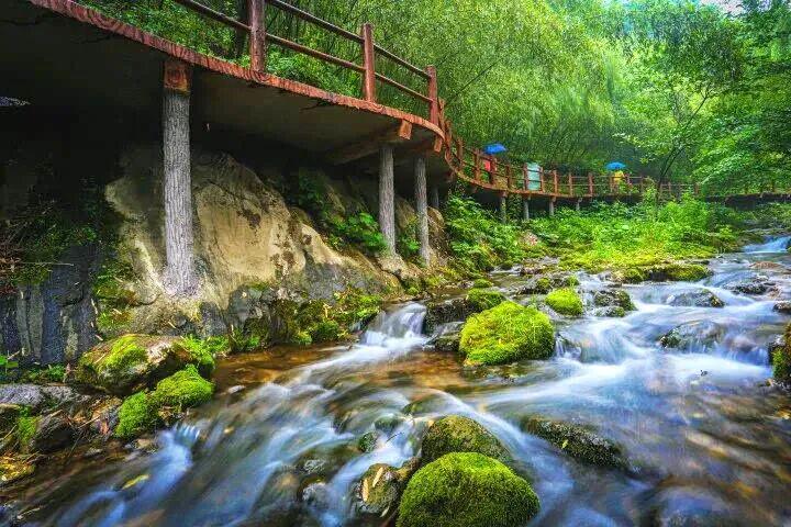 河南這些景區(qū)，向所有女士免門票→