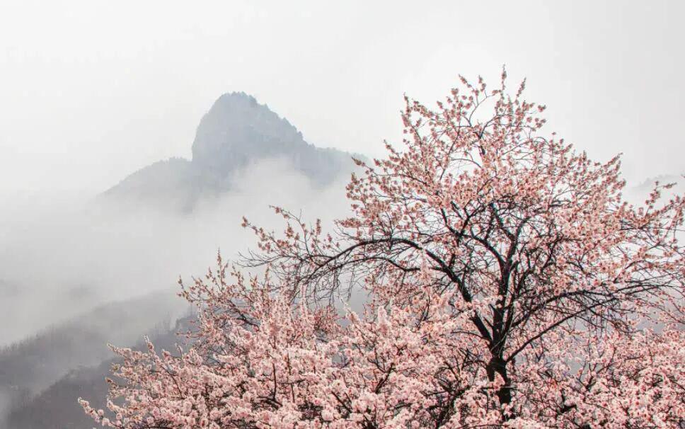 河南這些景區(qū)，向所有女士免門票→