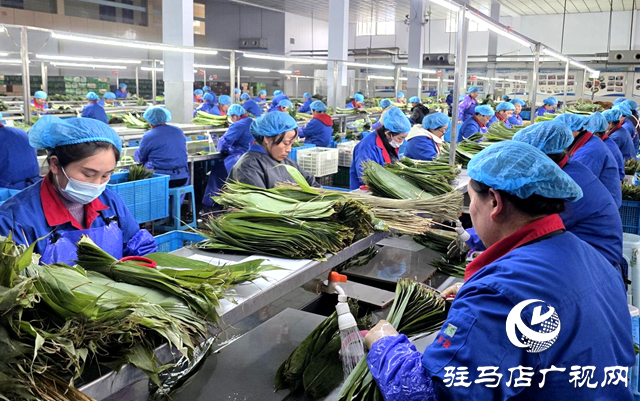 小粽葉闖出大市場 遂平領(lǐng)鑫農(nóng)業(yè)沖刺首季“開門紅”