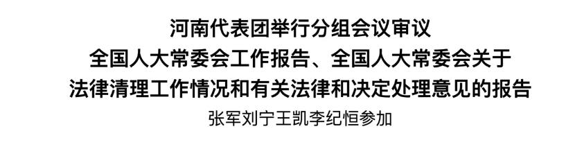 河南代表團舉行分組會議審議全國人大常委會工作報告、全國人大常委會關于法律清理工作情況和有關法律和決定處理意見的報告