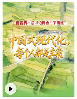 壹視界·總書記兩會(huì)“下團(tuán)組”丨中國式現(xiàn)代化，每個(gè)人都是主角