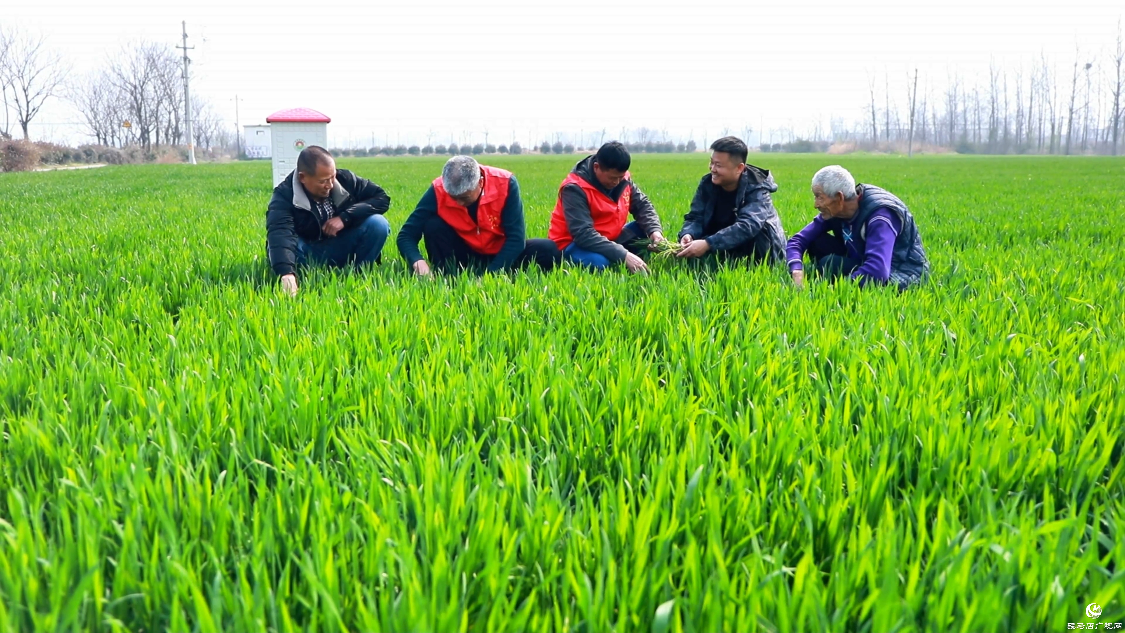 駐村第一書記鄭俊：引領(lǐng)農(nóng)產(chǎn)品“花式”出村 蹚出鄉(xiāng)村振興“遍地開花”路