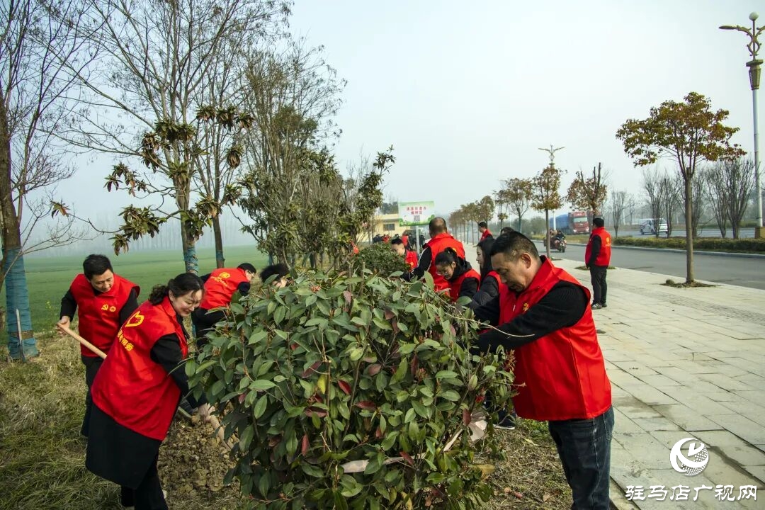 正陽縣清源街道：志愿紅輝映高速路?全員攜手植新綠