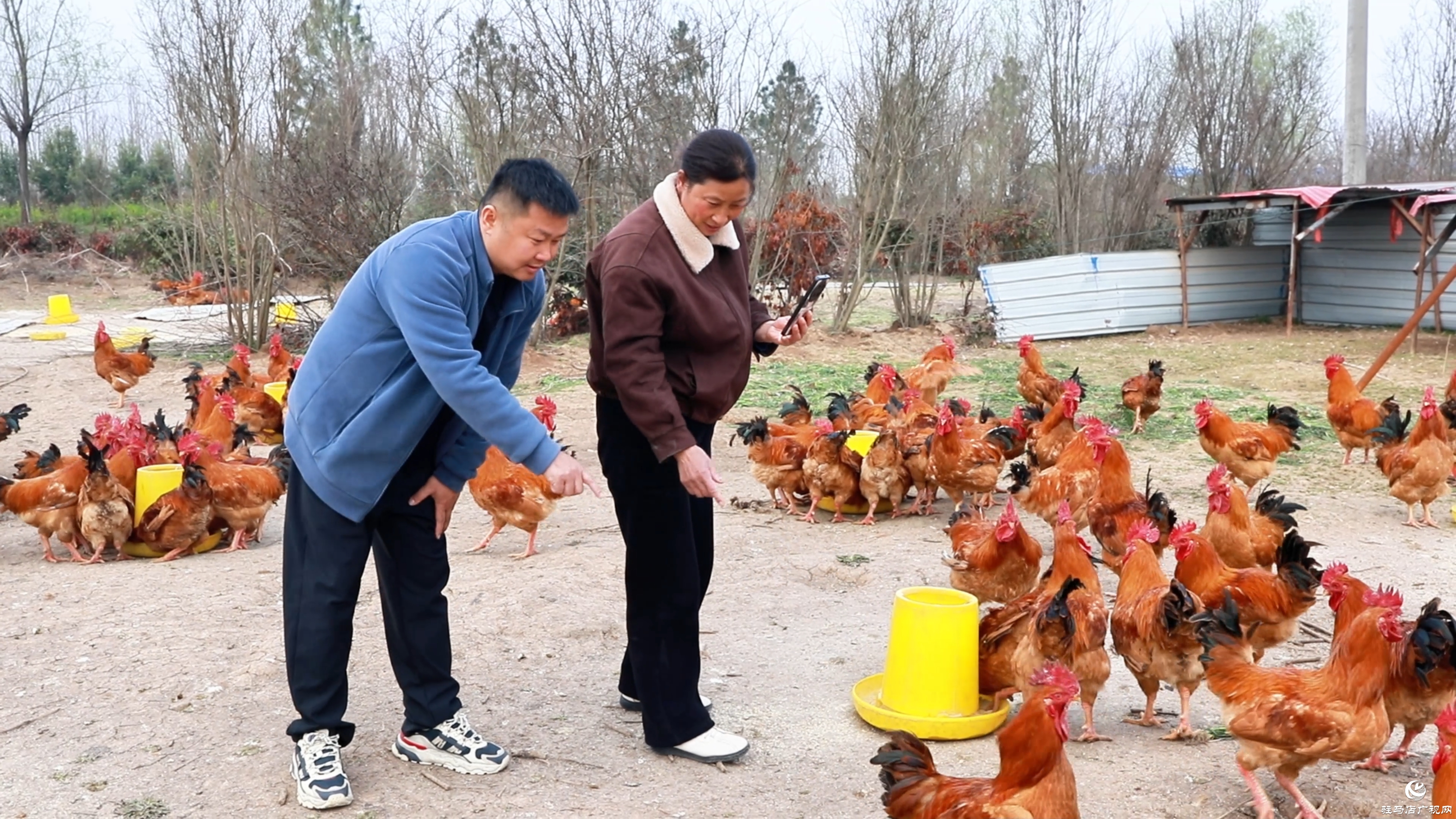 駐村第一書記鄭?。阂I(lǐng)農(nóng)產(chǎn)品“花式”出村 蹚出鄉(xiāng)村振興“遍地開花”路