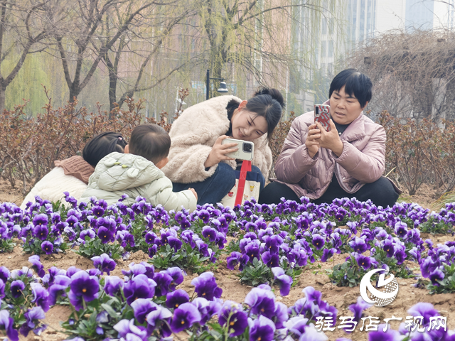 滿園繁花映春色 踏青游園正當(dāng)時