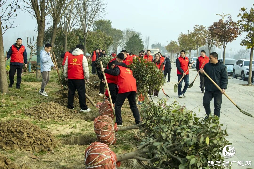 正陽縣清源街道：志愿紅輝映高速路?全員攜手植新綠