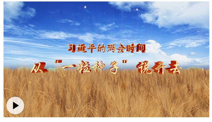 習近平的兩會時間丨從“一粒種子”說開去