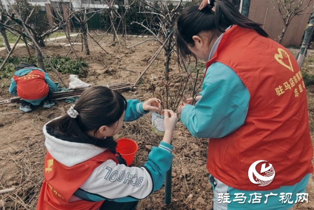 駐馬店市第四中學(xué)開展植樹節(jié)志愿服務(wù)活動(dòng)