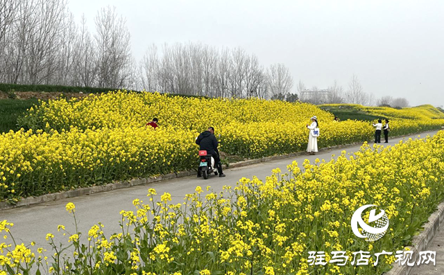 春暖花開噴嚏不斷？專家支招科學(xué)應(yīng)對花粉過敏