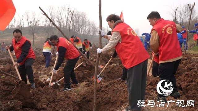 驛城區(qū)：植樹增綠當(dāng)先鋒 共繪生態(tài)新圖景