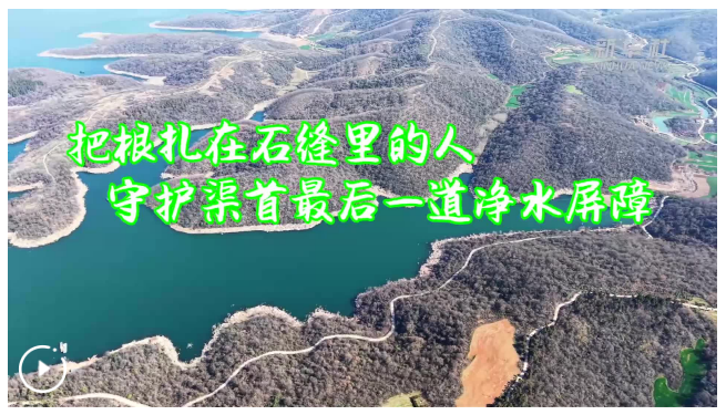 把根“扎”在石縫里的人