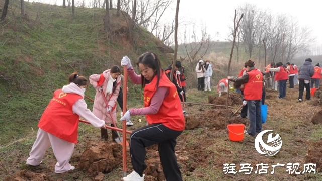 驛城區(qū)：植樹增綠當(dāng)先鋒 共繪生態(tài)新圖景