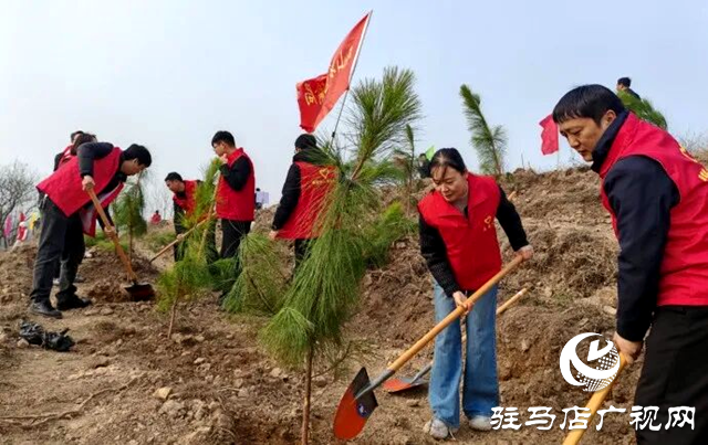 確山：又是一年植樹時