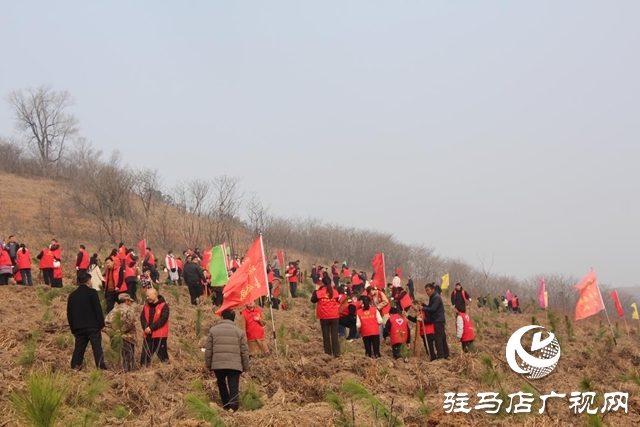 確山縣：春潮涌動植新綠