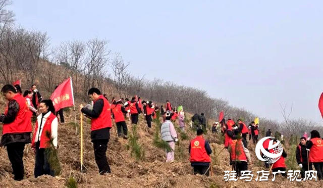 確山：又是一年植樹時