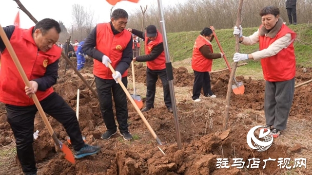 驛城區(qū)：植樹增綠當(dāng)先鋒 共繪生態(tài)新圖景