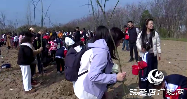 天中生態(tài)園親子植樹活動(dòng)圓滿舉行 300余組家庭共植綠色希望