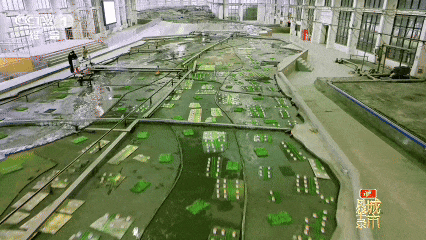 嵩山為脊，黃河為脈！《城市風(fēng)華錄》走進(jìn)鄭州