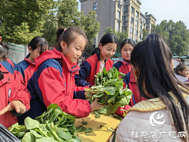 駐馬店市第二十八小學(xué)舉行蔬菜義賣活動