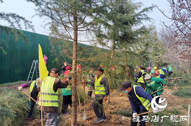  西平縣園林綠化中心春季補(bǔ)植活動啟動