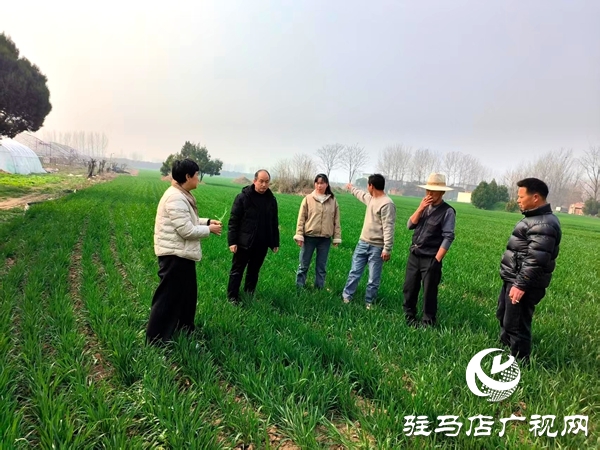 平輿縣農(nóng)業(yè)農(nóng)村局開(kāi)展高素質(zhì)農(nóng)民跟蹤服務(wù)助力春耕生產(chǎn)提質(zhì)增效