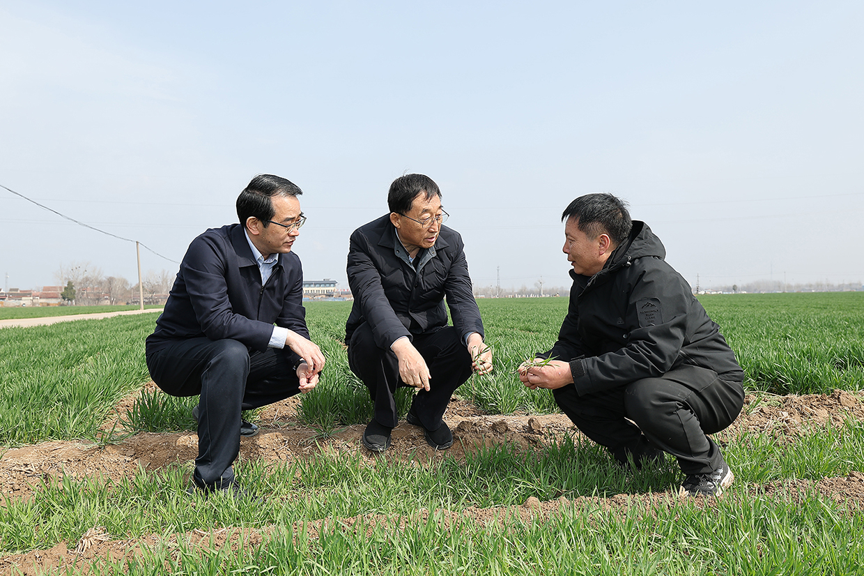 劉寧到內(nèi)黃縣安陽縣調(diào)研推動工作時強(qiáng)調(diào) 毫不放松抓好糧食生產(chǎn) 全力夯實(shí)夏糧豐收基礎(chǔ)